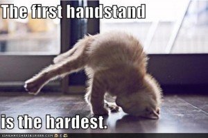 Cat Handstand